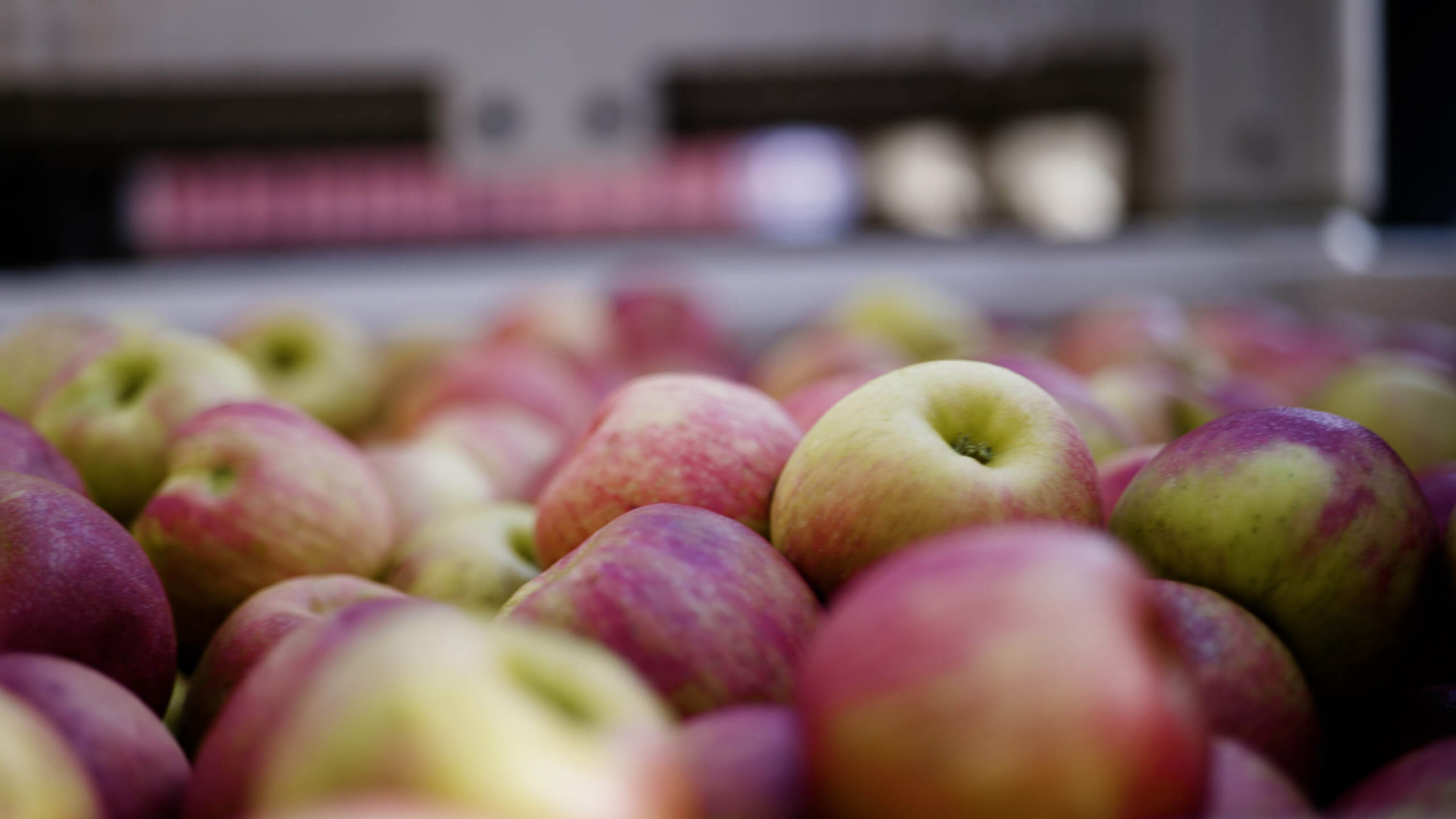 MF_Still_1 MF_Still_1