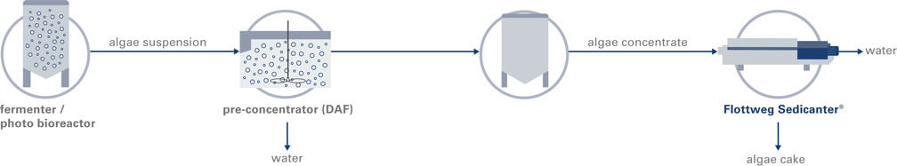 algae-process-en-teaser algae-process-en-teaser
