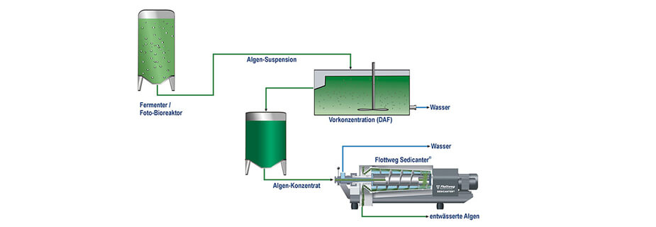 algae-process-sedicanter-de-2 algae-process-sedicanter-de-2