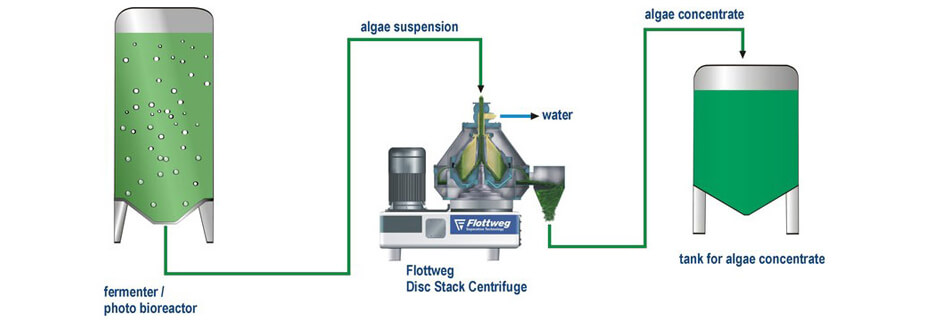 algae-process-separator-en-2 algae-process-separator-en-2