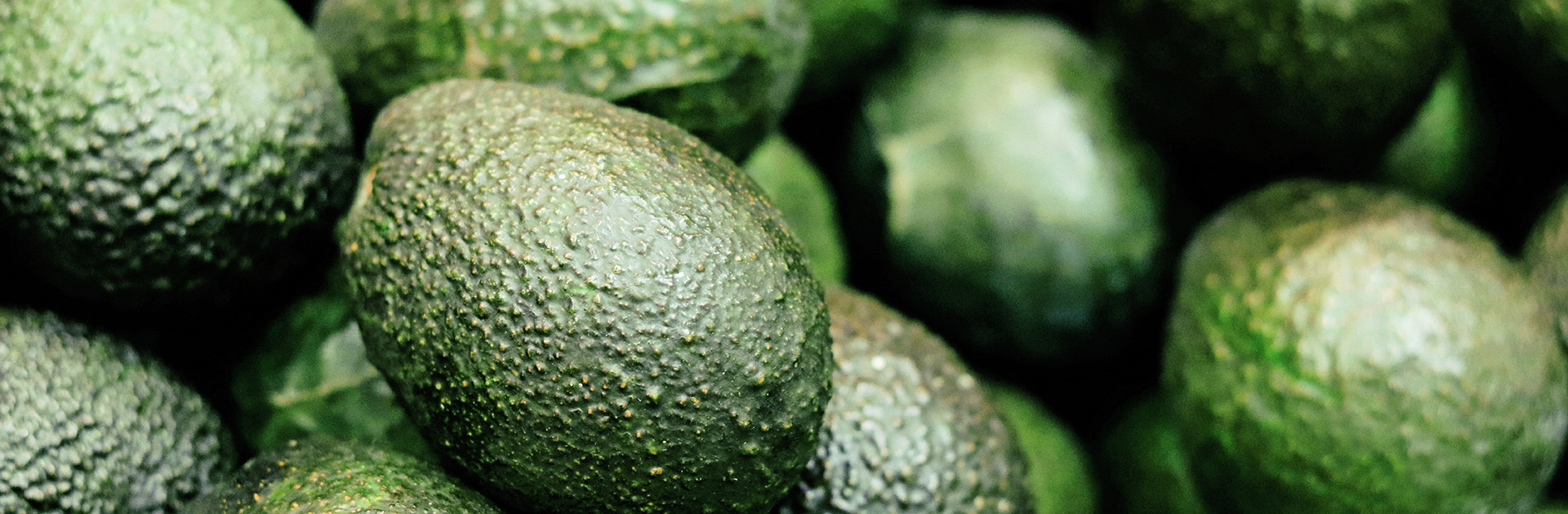 avocado-oel-stage-2.jpg