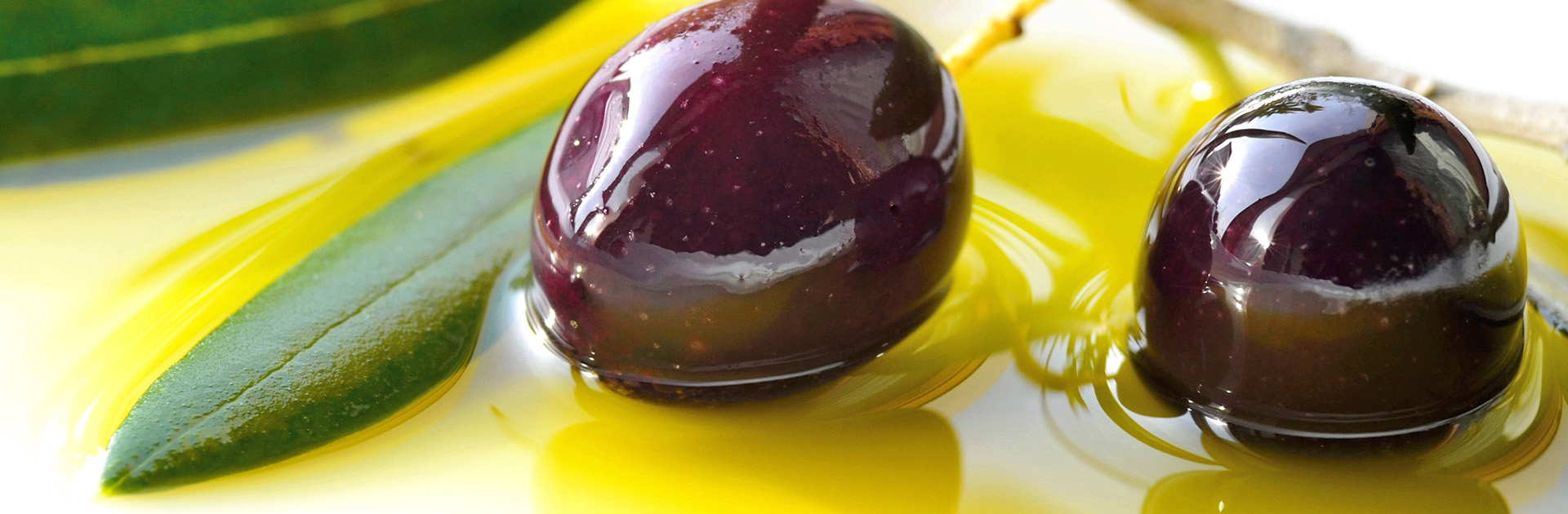 header-olive-oil-1.jpg