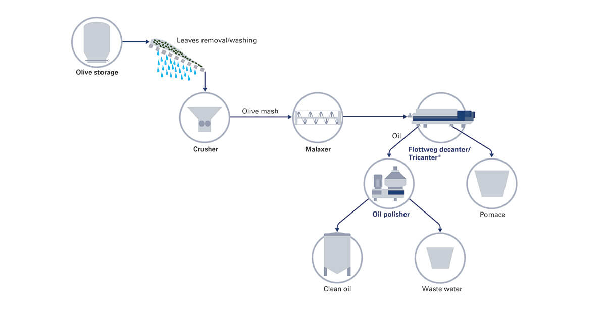 process-olive-oil-en-teaser process-olive-oil-en-teaser