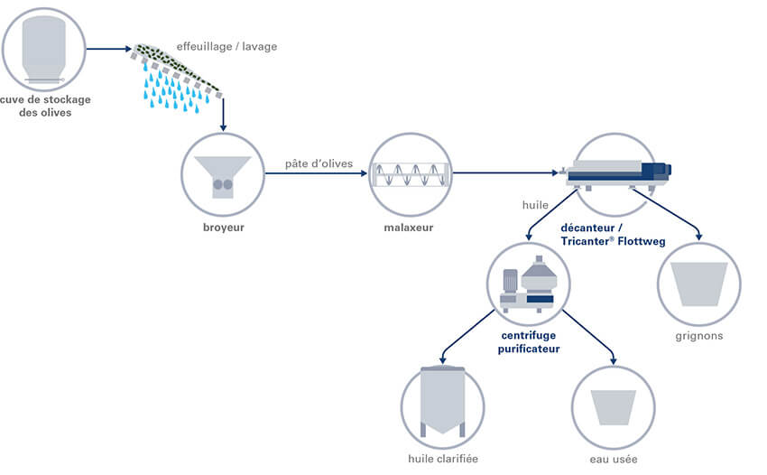 process-olive-oil-fr-teaser process-olive-oil-fr-teaser