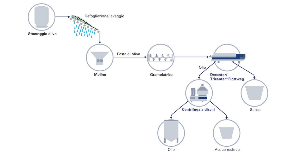 process-olive-oil-it-teaser
