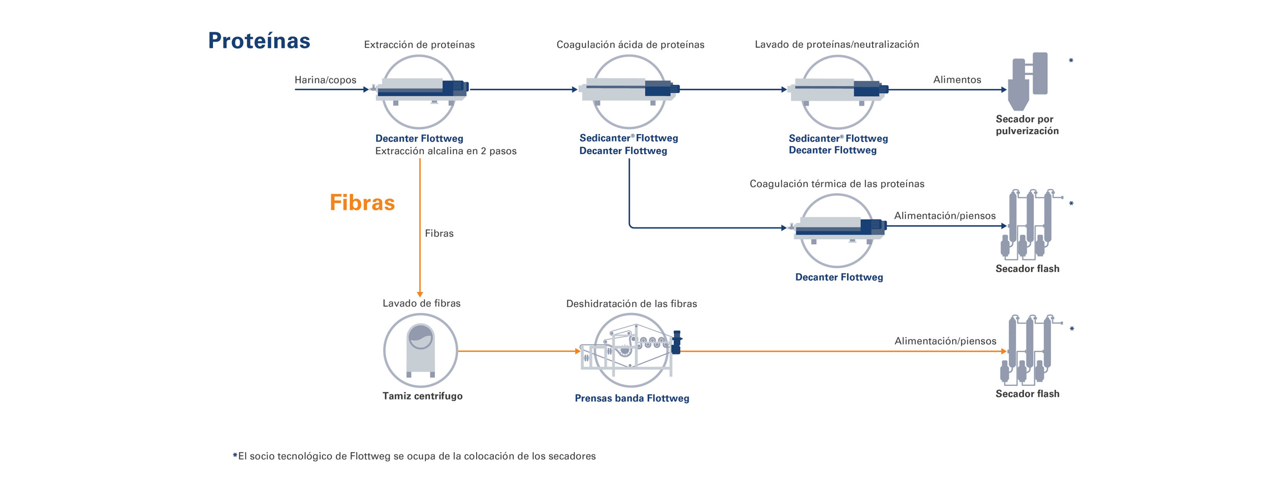 Proceso para la producción de proteína de soja, proteína de altramuces, etc.