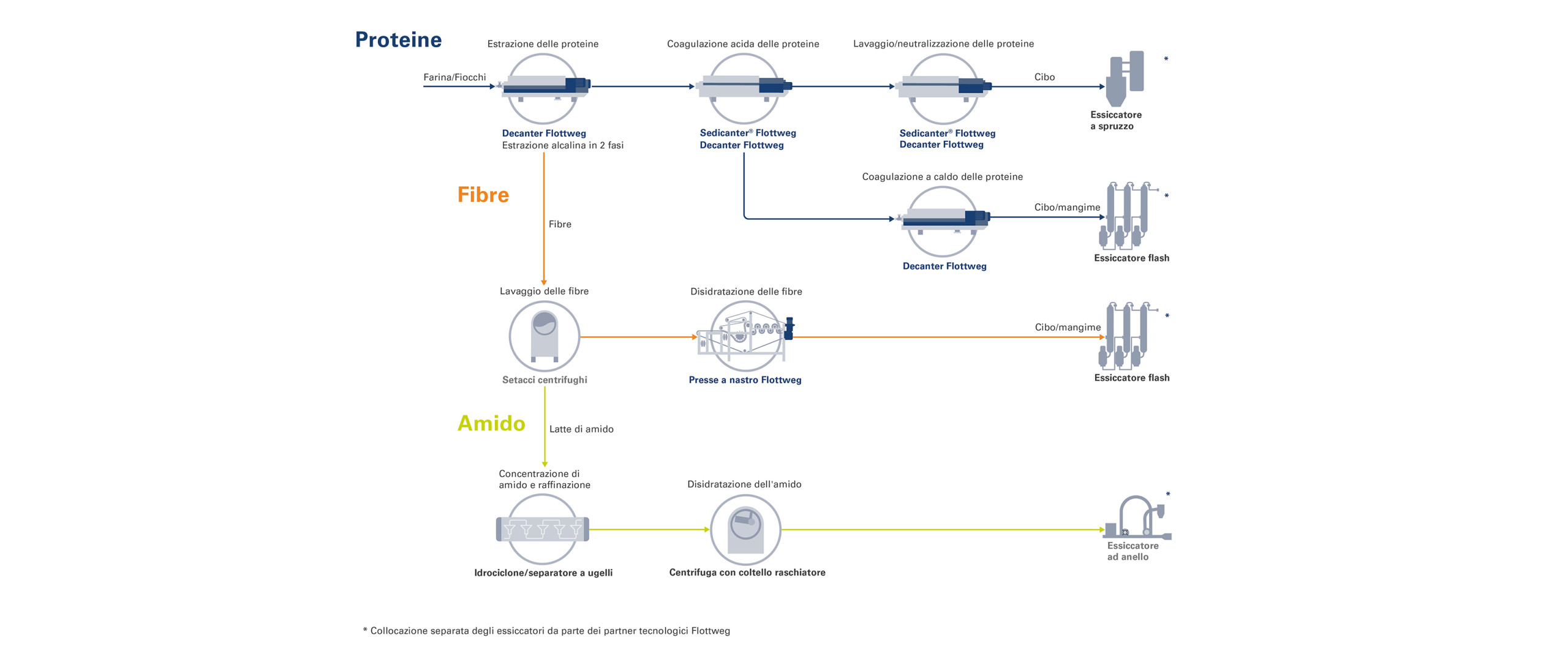 Processo per la produzione di proteine funzionali da piante ricche di amido come piselli, lenticchie e fagioli.