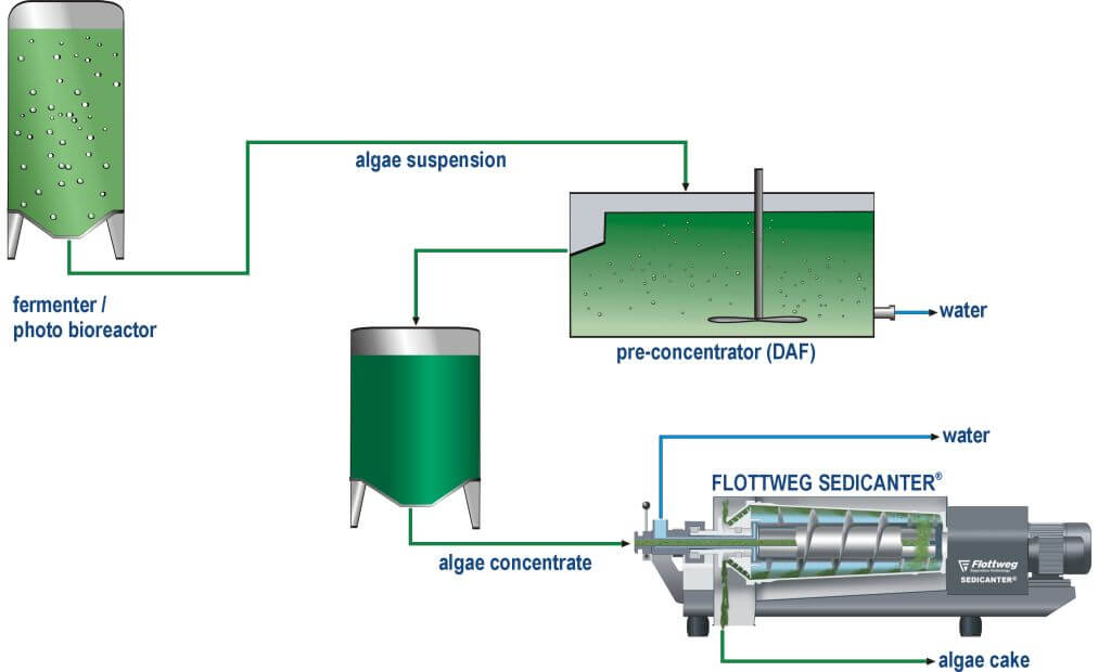 Algae harvest with the Sedicanter®