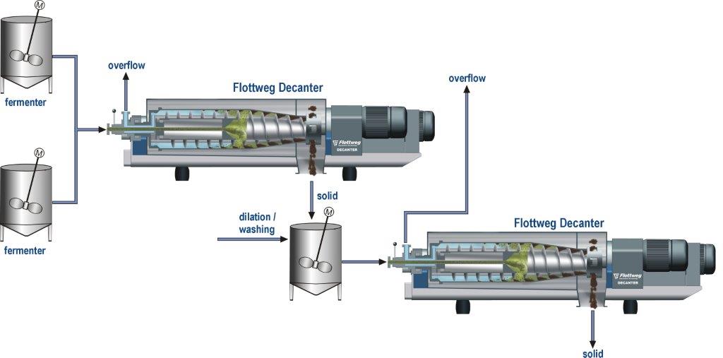 Processes for Obtaining Biomass from Fermentation Broth