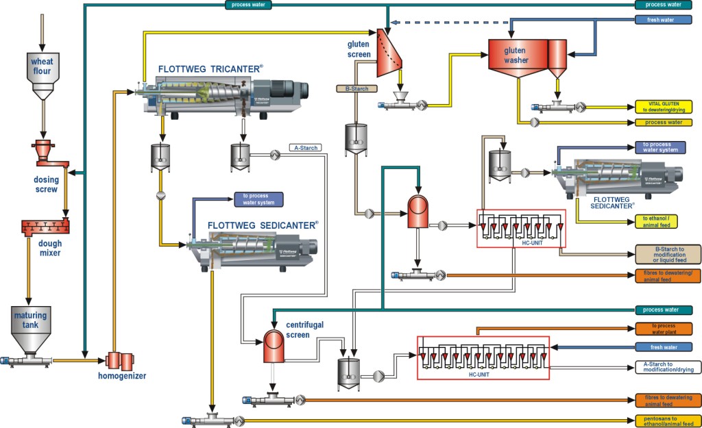 Production of starch and gluten