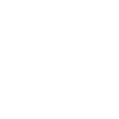 2019_ingo_icon_circle 2019_ingo_icon_circle