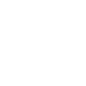 automation-ingo Ingo