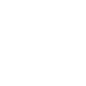 Centripetal Pump