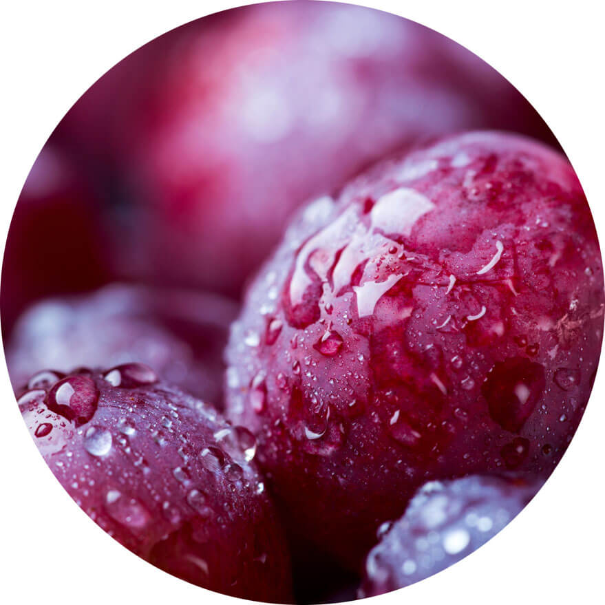wine-icon wine-icon