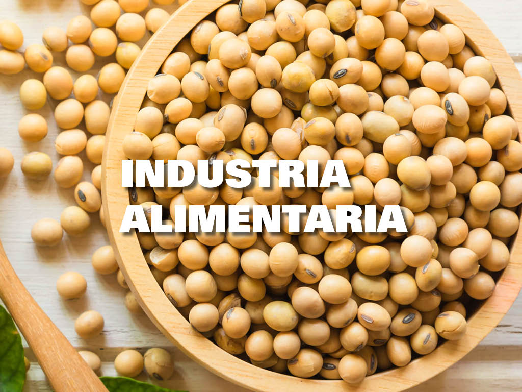 Anwendungen_LP_ES5 Anwendungen_LP_ES5