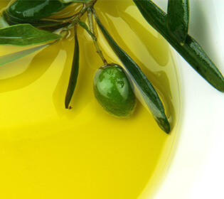 fats-oils-teaser-new fats-oils-teaser-new